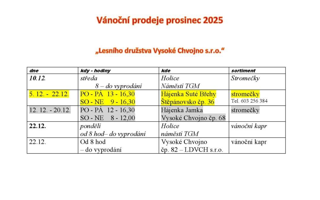 Vánoční prodeje prosinec 2025